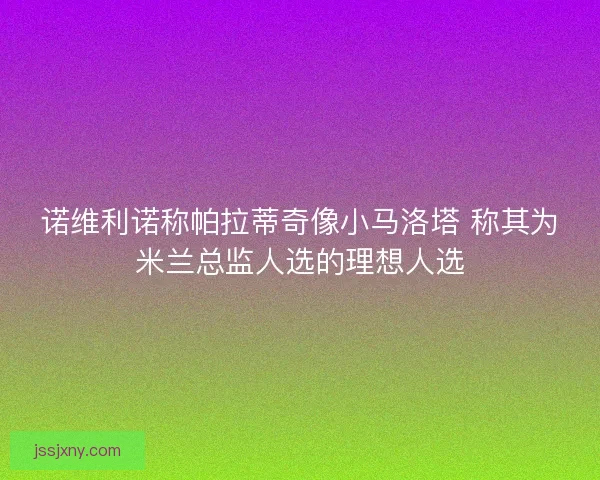 诺维利诺称帕拉蒂奇像小马洛塔 称其为米兰总监人选的理想人选