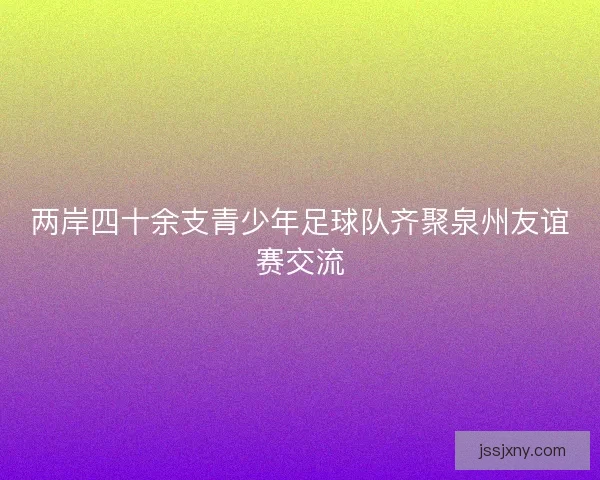 两岸四十余支青少年足球队齐聚泉州友谊赛交流
