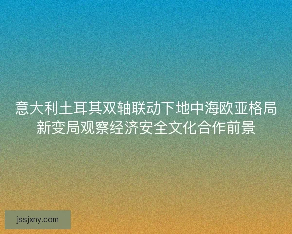 意大利土耳其双轴联动下地中海欧亚格局新变局观察经济安全文化合作前景